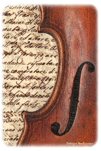 Patrizio Tamburrino antico violino